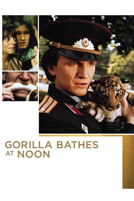 Gorilla Bathes at Noon